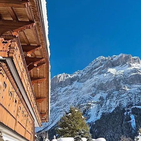 1 Zimmerwohnung Chalet Im Zwygarten In