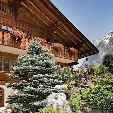 Apartment 1 Zimmerwohnung Chalet Im Zwygarten In