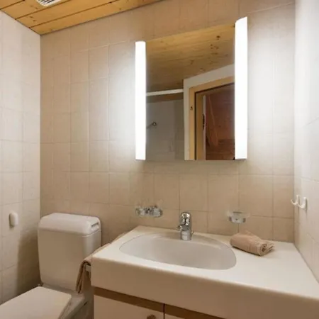 1 Zimmerwohnung Chalet Im Zwygarten In